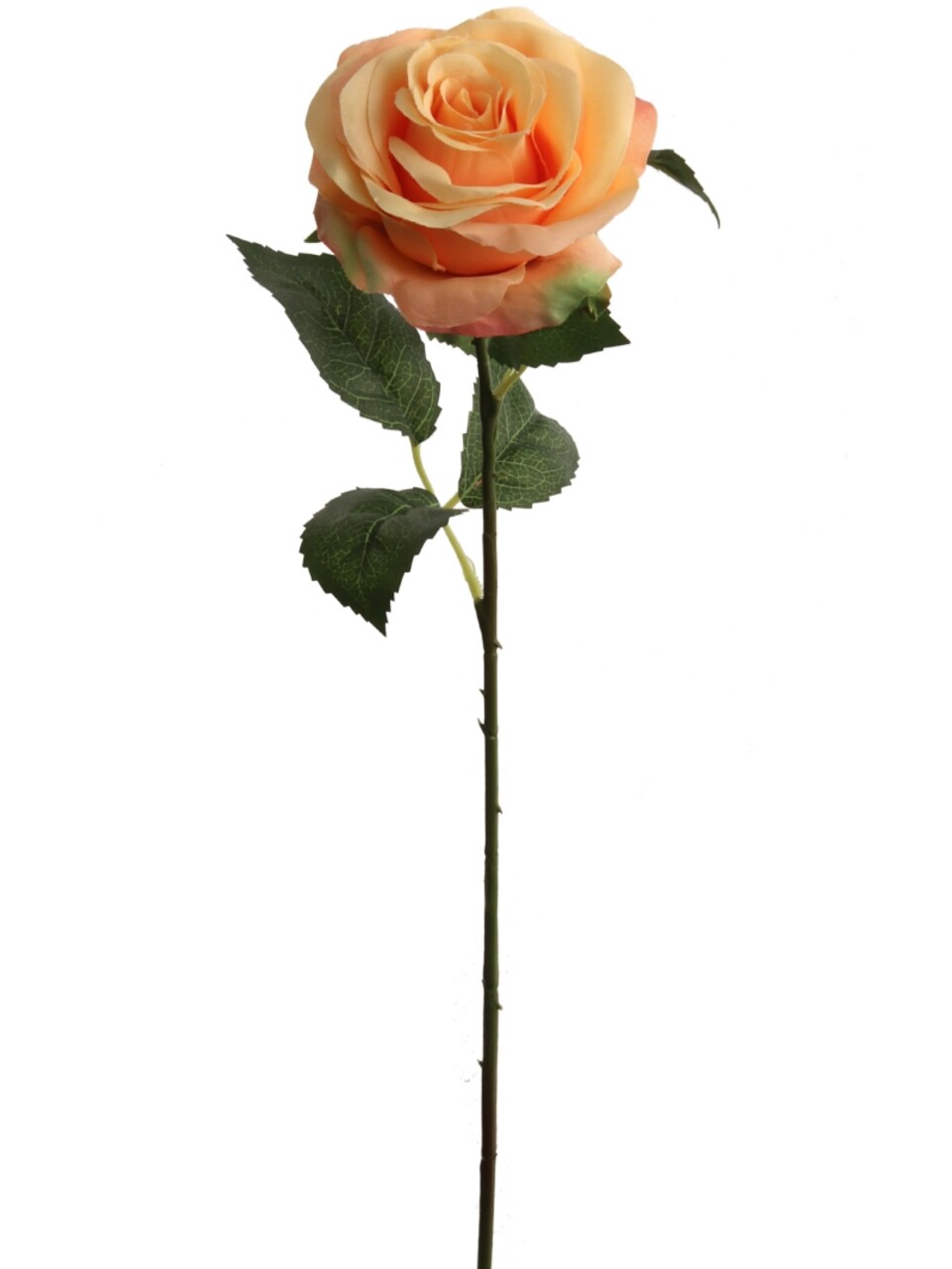 Radiant Glow: 20" Open Rose (4"DIA) - Captivating Apricot Blossom for Exquisite Floral Decor